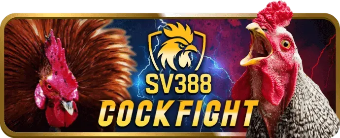 Dịch vụ chăm sóc khách hàng 24/7 của 1888v